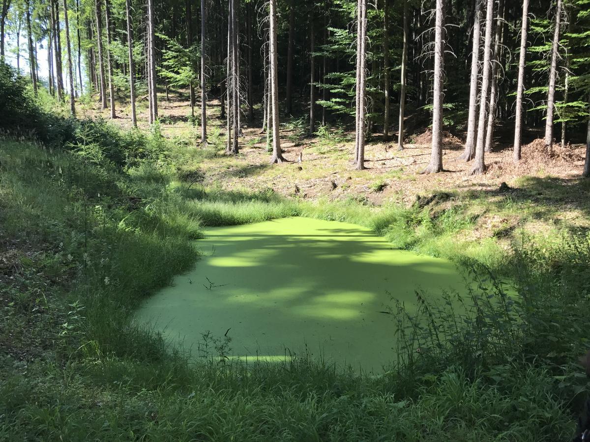Farma Noe Vendégház Březina Kültér fotó